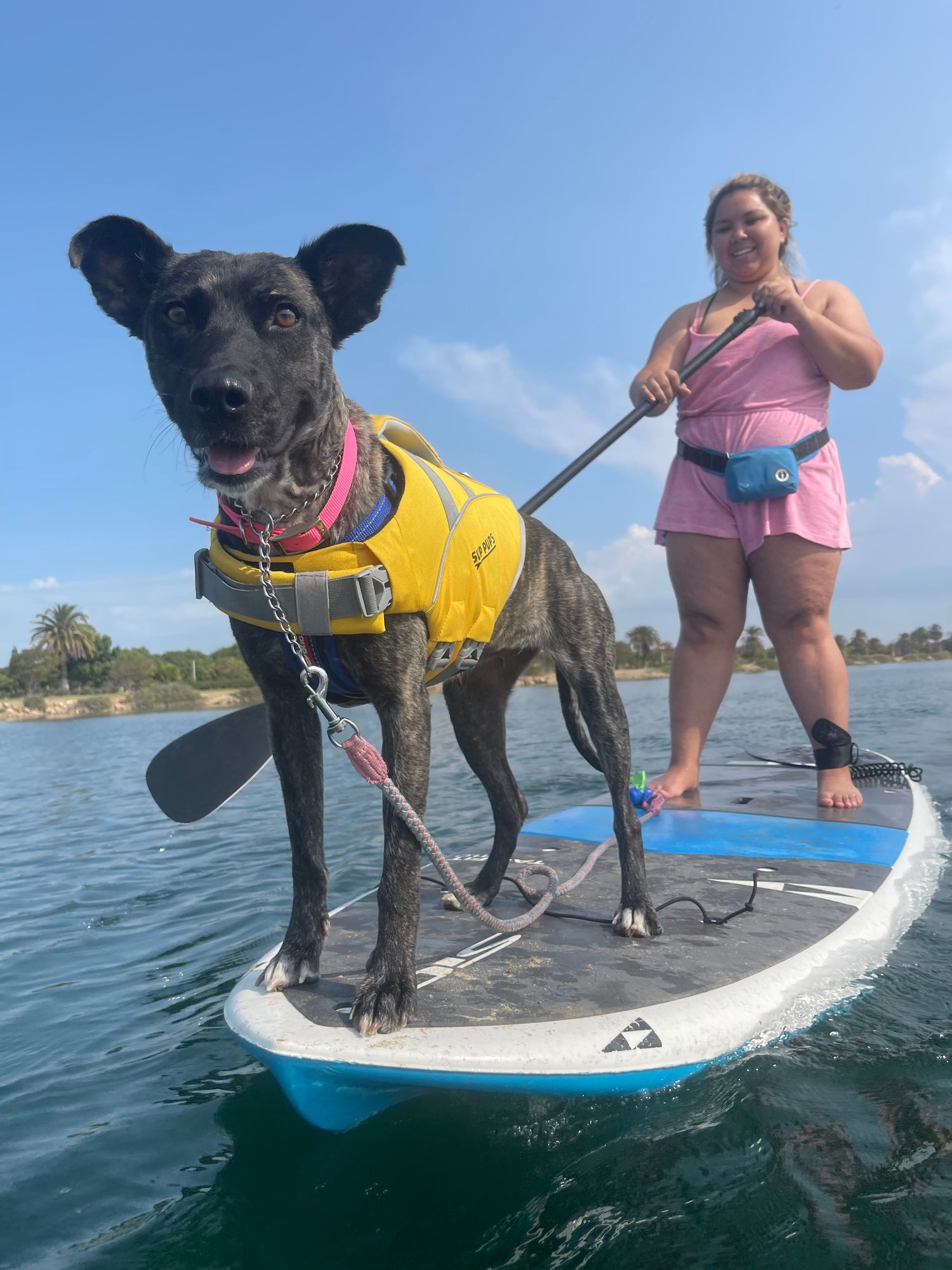 Life Jacket Safety