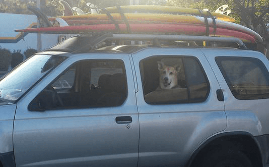 Safely Securing Your Board to Your Vehicle - West Coast Paddle Sports
