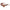 I-SEA PARKER TAUPE / BROWN POLARIZED LENS