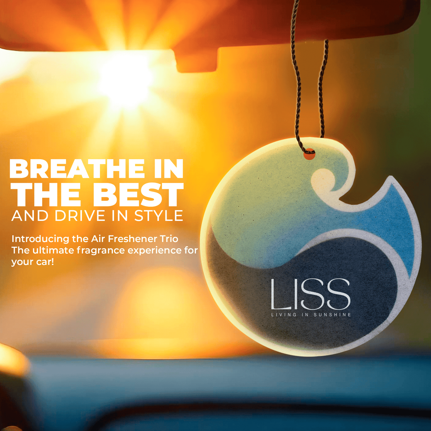 Air Freshener Trio - West Coast Paddle Sports