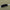Dax Air Oyster All Around (10'6 and 11'6) - West Coast Paddle Sports
