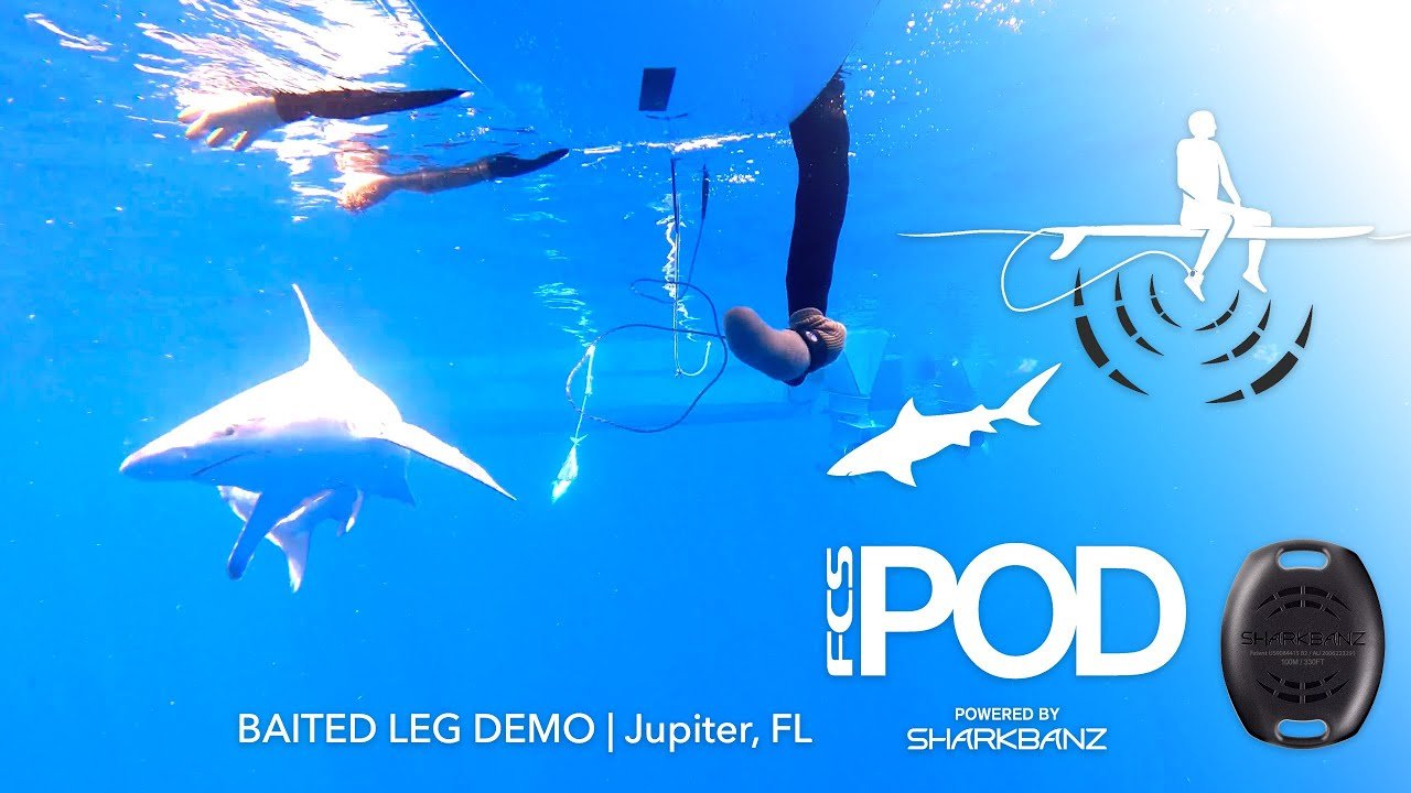 FCS X SHARKBANZ POD - West Coast Paddle Sports