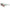 I - SEA LOLA ROYAL KALE / TANGERINE LENS - West Coast Paddle Sports