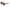 I - SEA MONROE Polarized Sunglasses - West Coast Paddle Sports