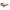 I - SEA PARKER TAUPE / BROWN POLARIZED LENS - West Coast Paddle Sports