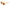 I - SEA PHOENIX Polarized Sunglasses - West Coast Paddle Sports