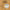PADDLE SURF HAWAII RIPPER BAMBOO 8'11" x 29" 120L - West Coast Paddle Sports