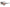 I-SEA ROYAL Polarized Sunglasses
