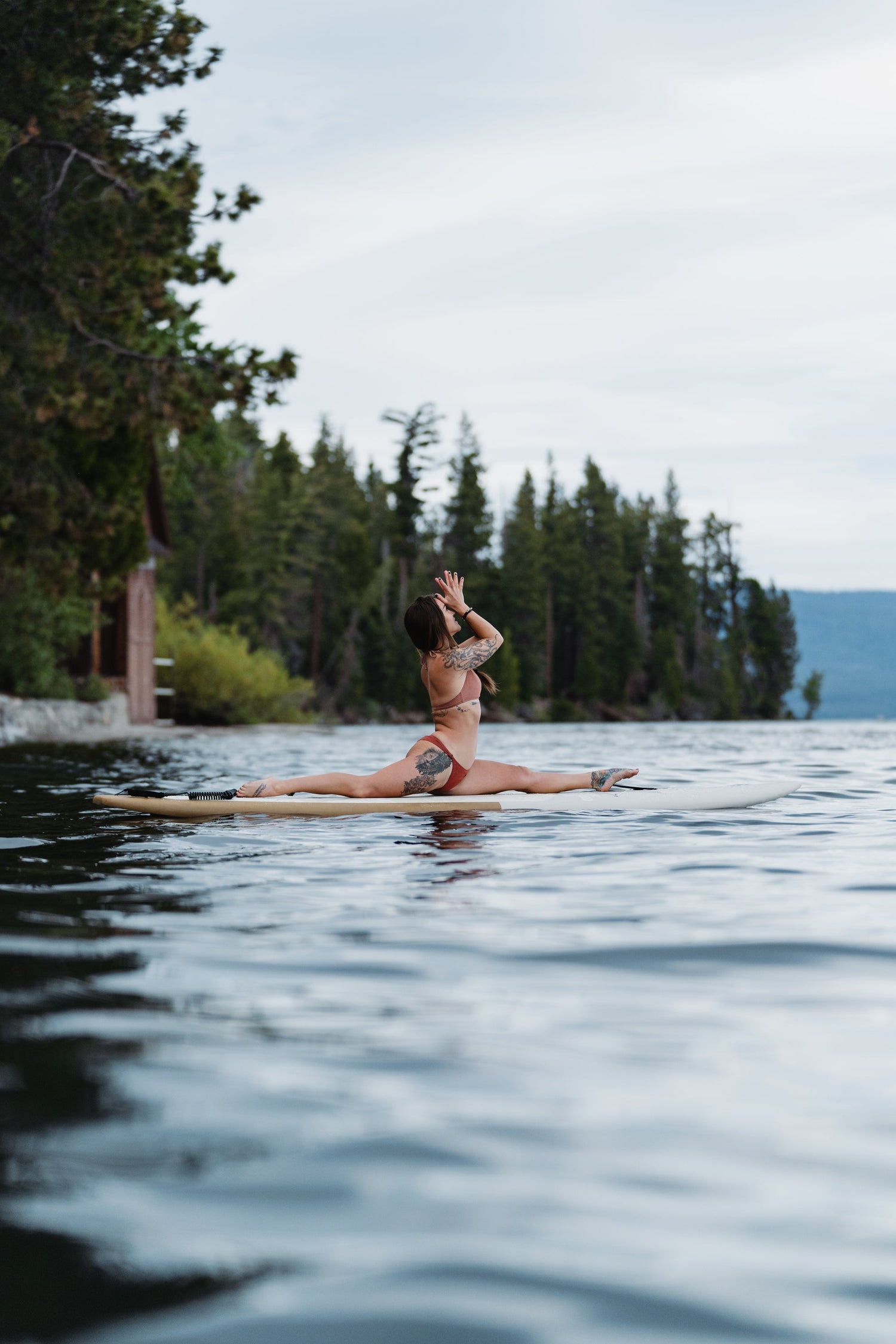 Dax Downdog Sun Salutation (Preorder, Ship August 10th)