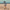 SUPSKATE Custom Travel Paddle — High Flex | Breakaway Skate Paddle - West Coast Paddle Sports