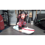 THE SURF MONKEY - Red/Blue Stripe - MISC