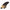 FCS II ROB MACHADO TWIN + STABILISER FINS - West Coast Paddle Sports