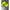 West Coast Paddle Sports High Vis/ Reflective Hat - West Coast Paddle Sports